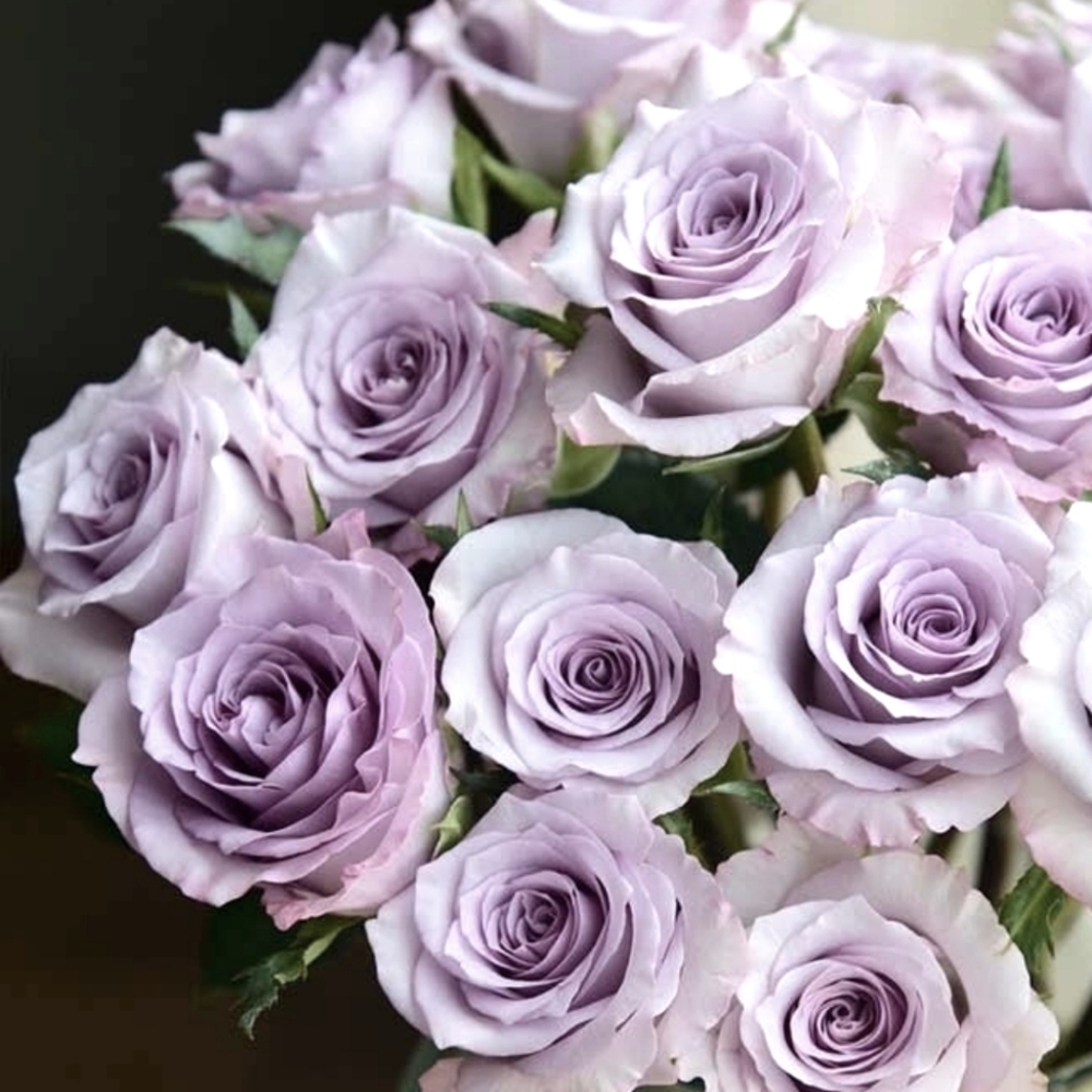 Meet your Posher, Meg